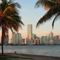 Miami Skyline