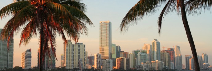 Miami Skyline