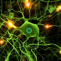 iStock_000006935562Small